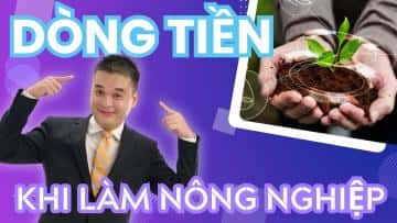 Hướng dẫn chi tiết cách học viên nghê nông tạo dòng tiền tích sản bền vững